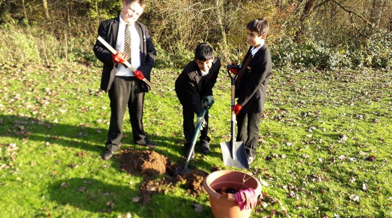 Knole Academy Tree Project Report Knole Academy Tree Project Report