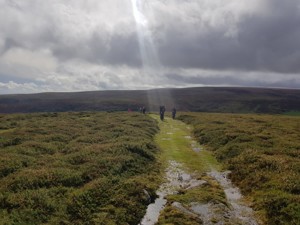 Dartmoor se image