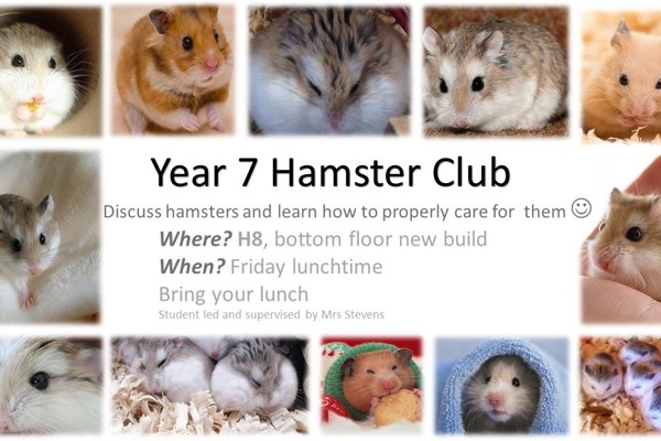 Hamster club