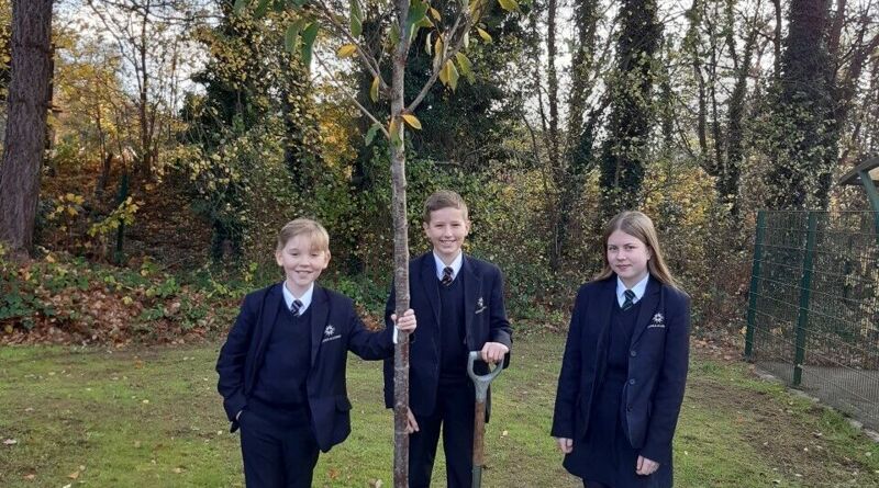 Queens Jubilee Tree Planting